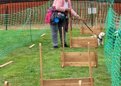 Open day