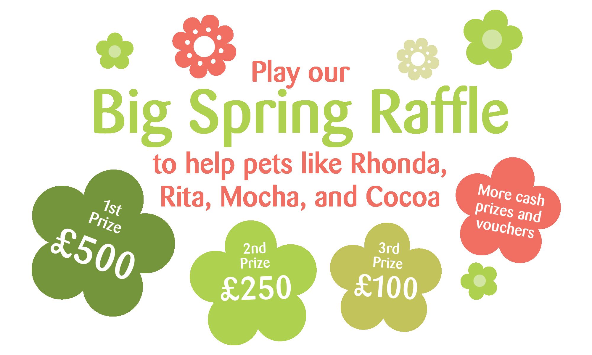 Big-Spring-Raffle-with-prizes JPG