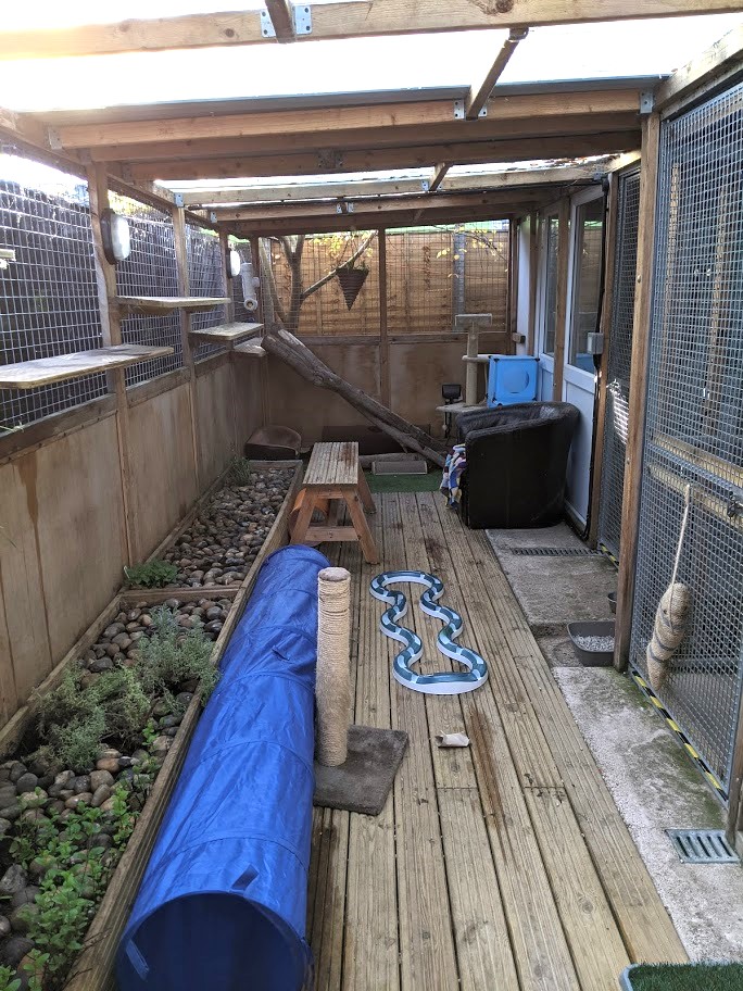 Catio