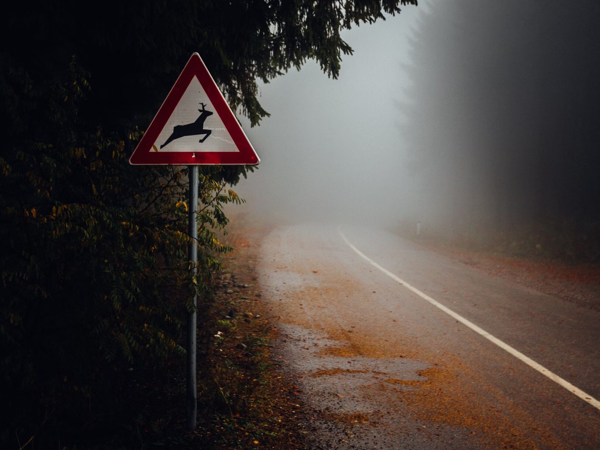 Deer crossing warning sign