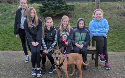 Animal Days News – February Half Term