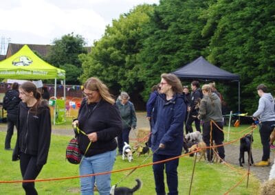 Open dog show