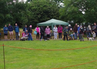 Open dog show