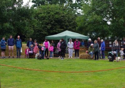 Open dog show
