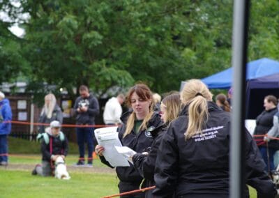 Open dog show
