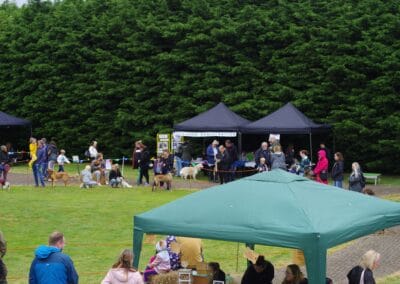 Open day stalls