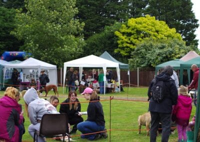Open day dog show