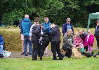 Open day dog show