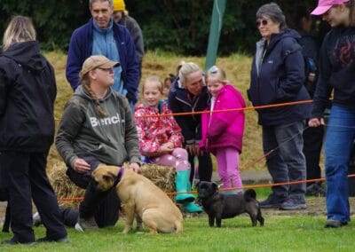 Open day dog show
