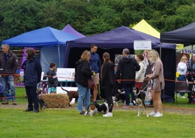 Open day stalls