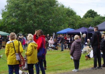 Open day dog show