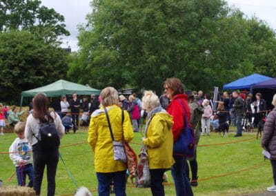 Open day dog show