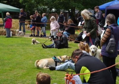 Open day dog show