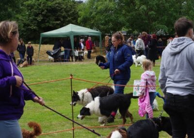 Open day dog show