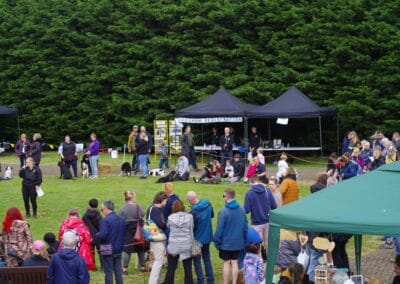 Open day dog show