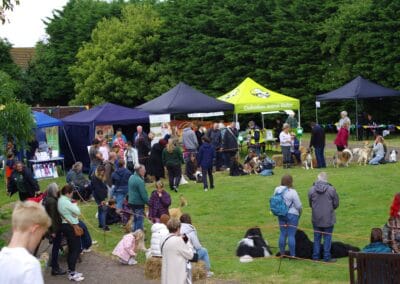 Open day dog show