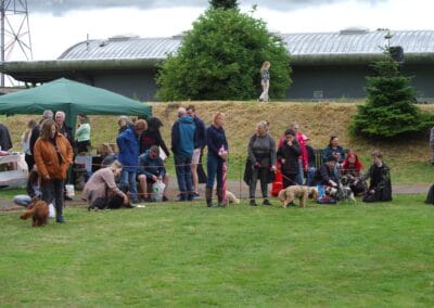 Open day dog show