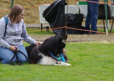 Open day dog show