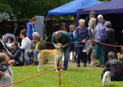 Open day dog show