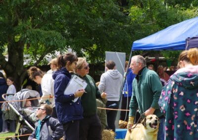 Open day dog show