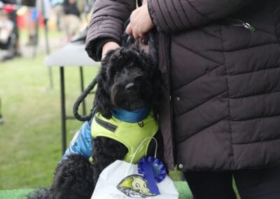 Open day dog show