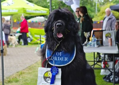 Open day dog show