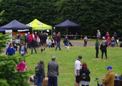 Open day dog show