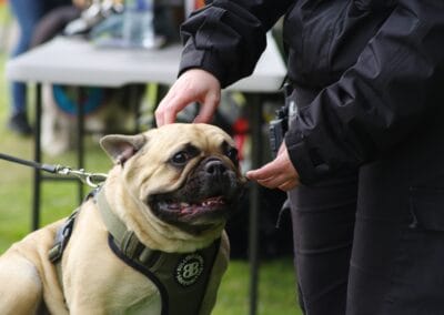 Open day dog show