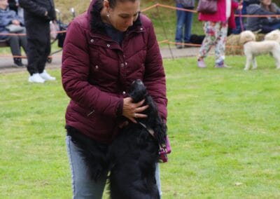 Open day dog show