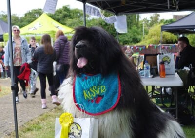 Open day dog show