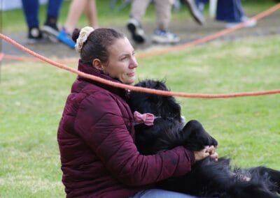 Open day dog show
