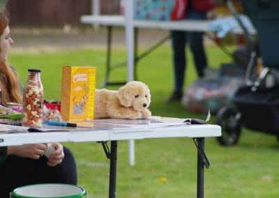 Open day dog show