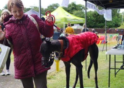 Open day dog show