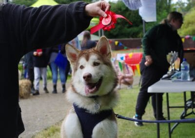 Dog show winner