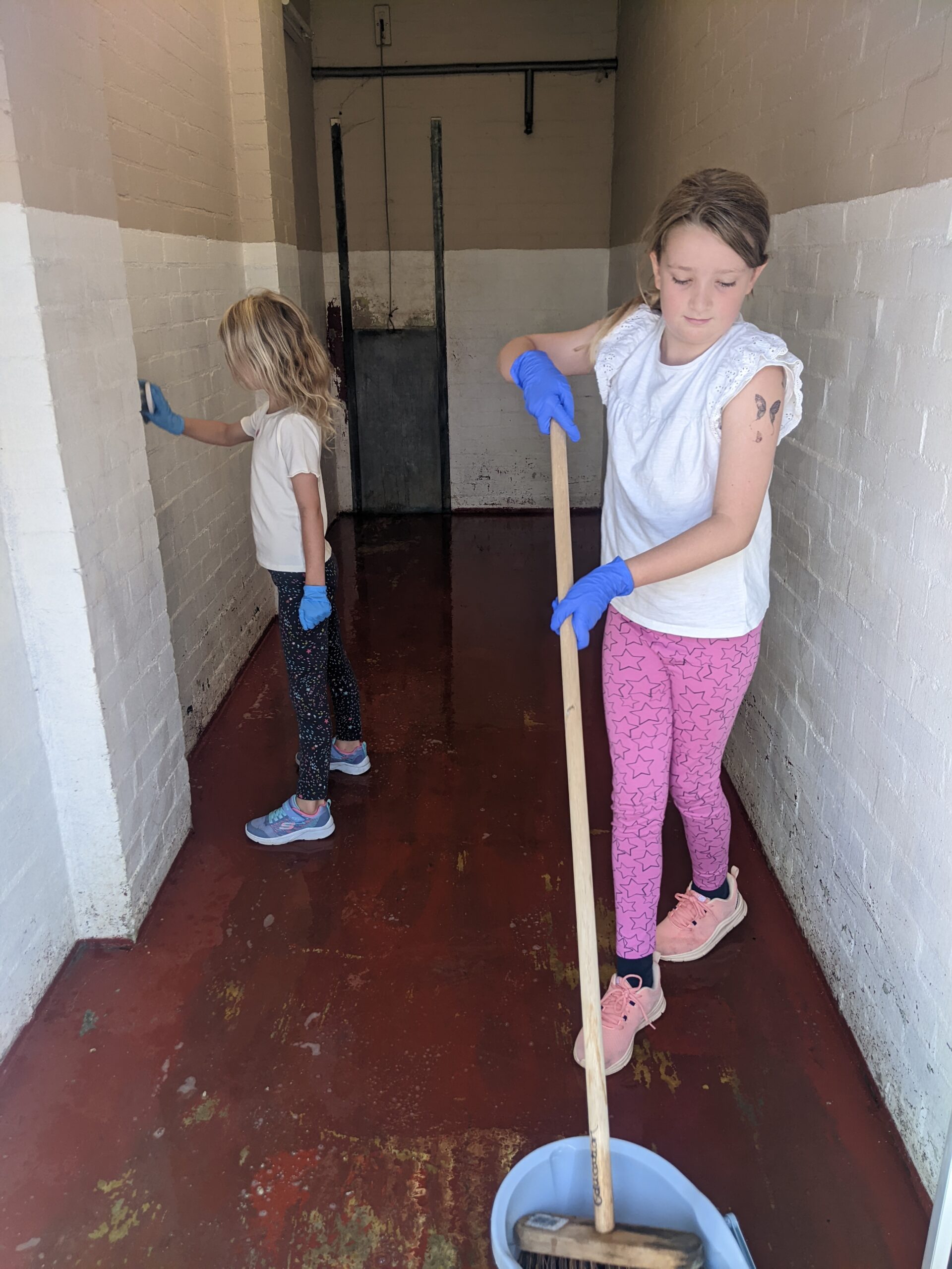 Kennel Cleaning 1