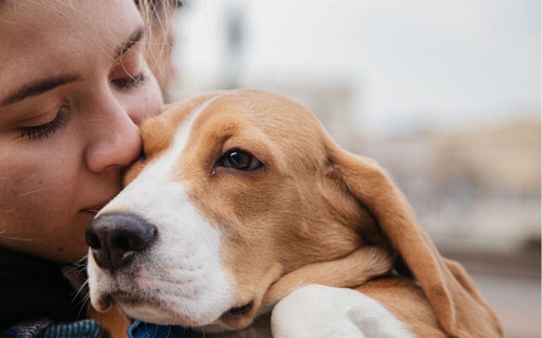 National love your pet day!