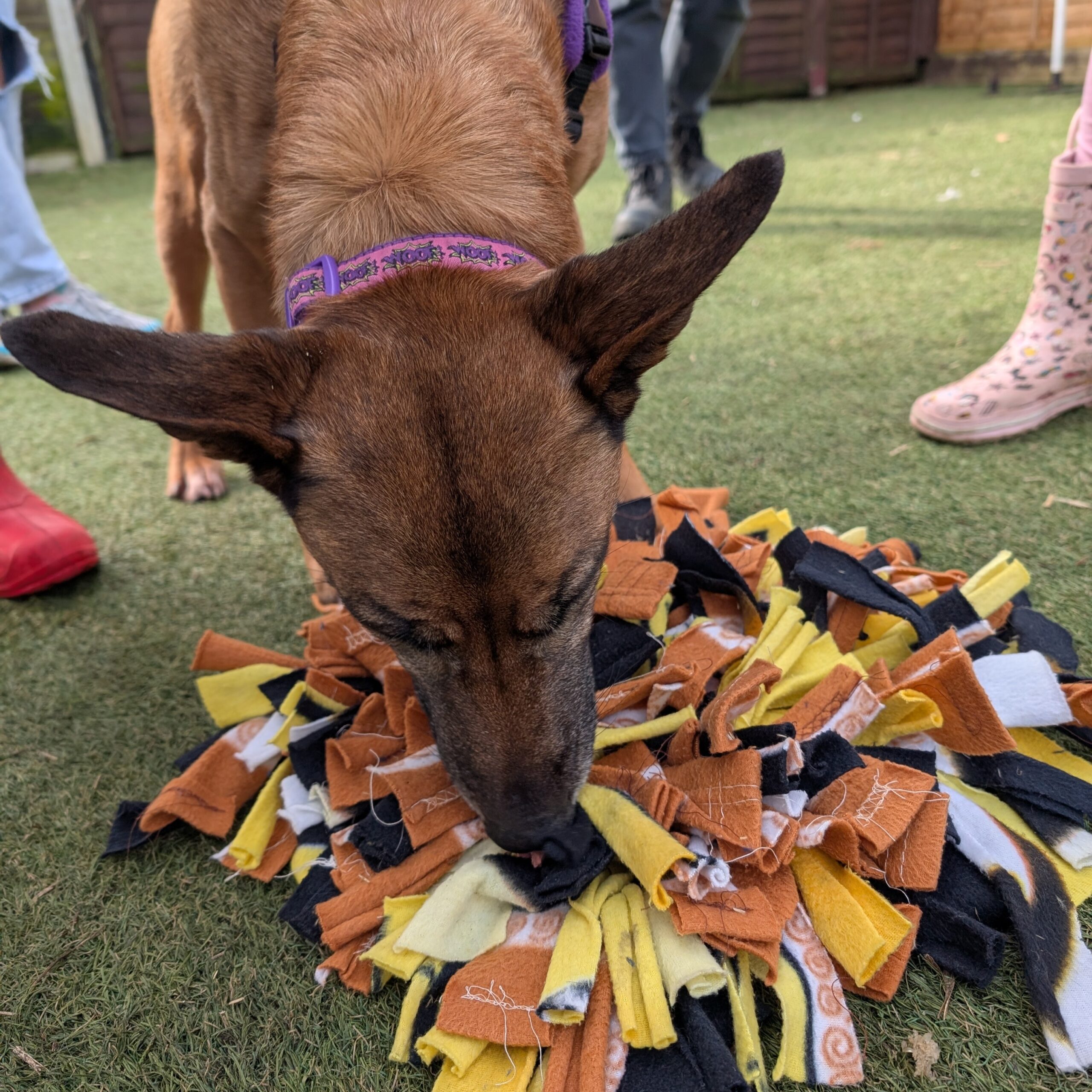 Mia Snuffle Mat