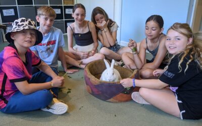 Animal Days Summer 2024