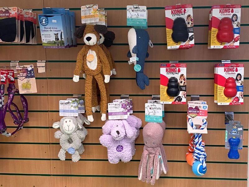 Pet shop image
