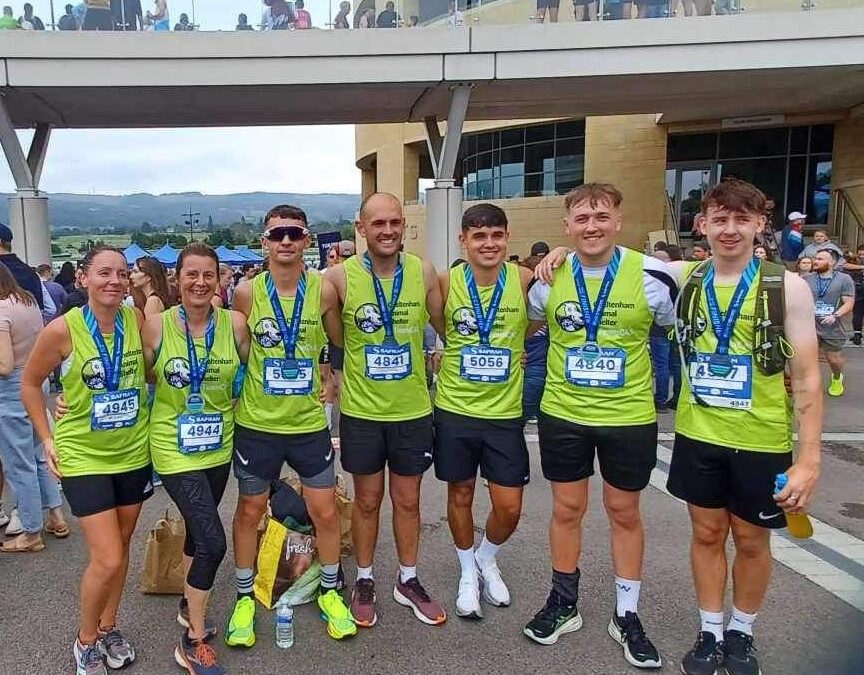 Run Cheltenham 2024 for pets in need