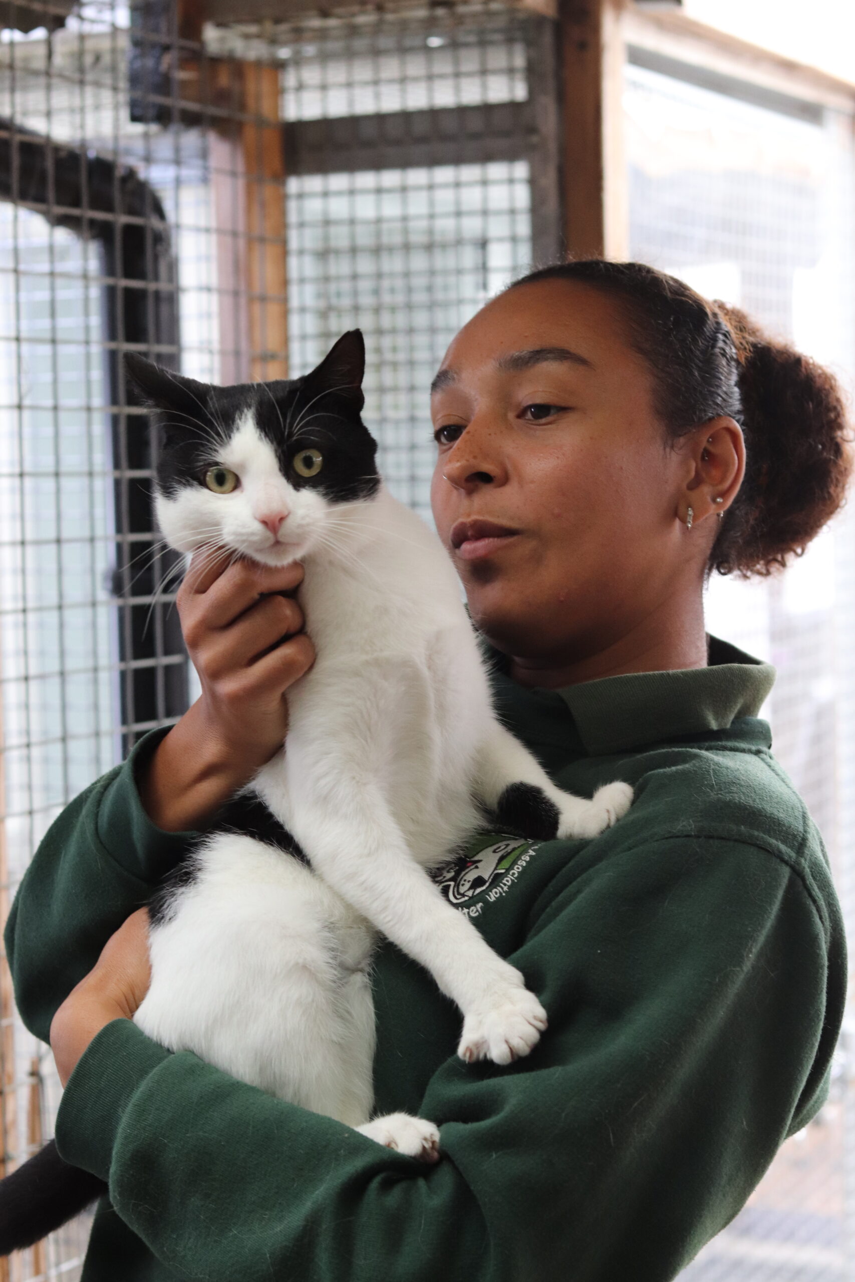 rhi&patch
