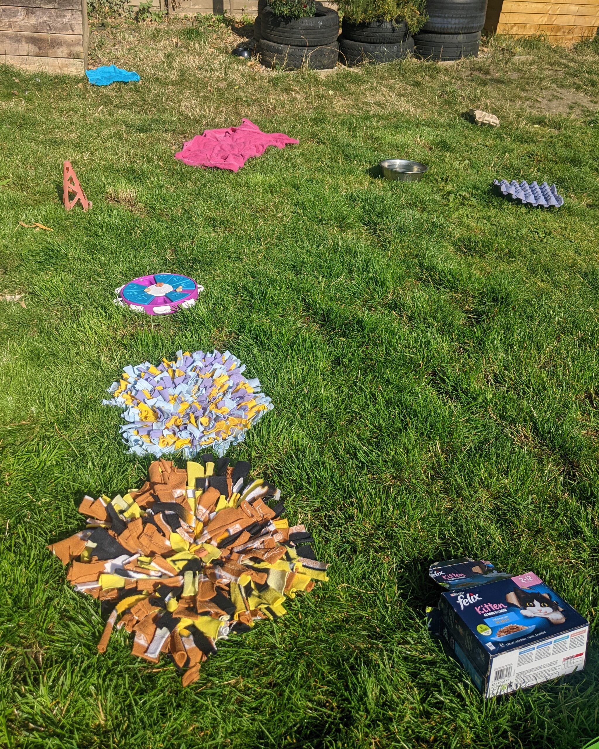 Scent Games 5x4