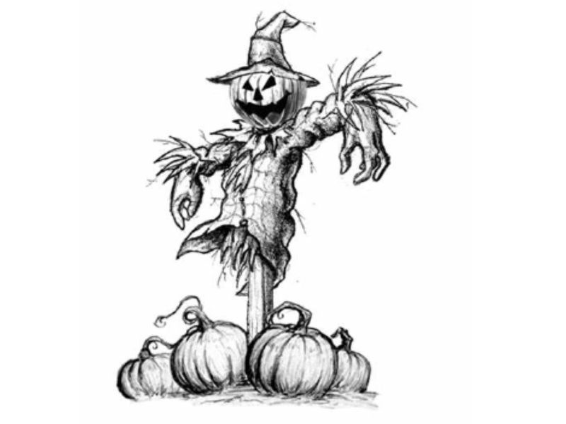 Spooky Scarecrow Trail