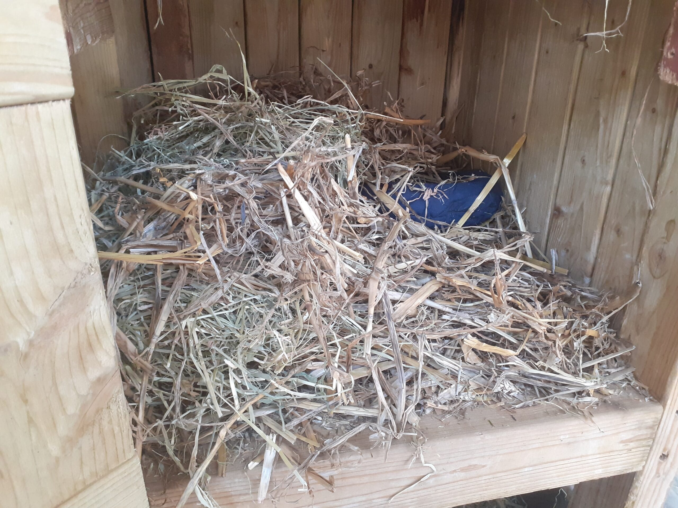 straw bedding