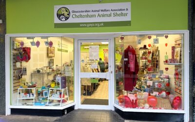Visit our new charity shop this weekend and celebrate your love of animals
