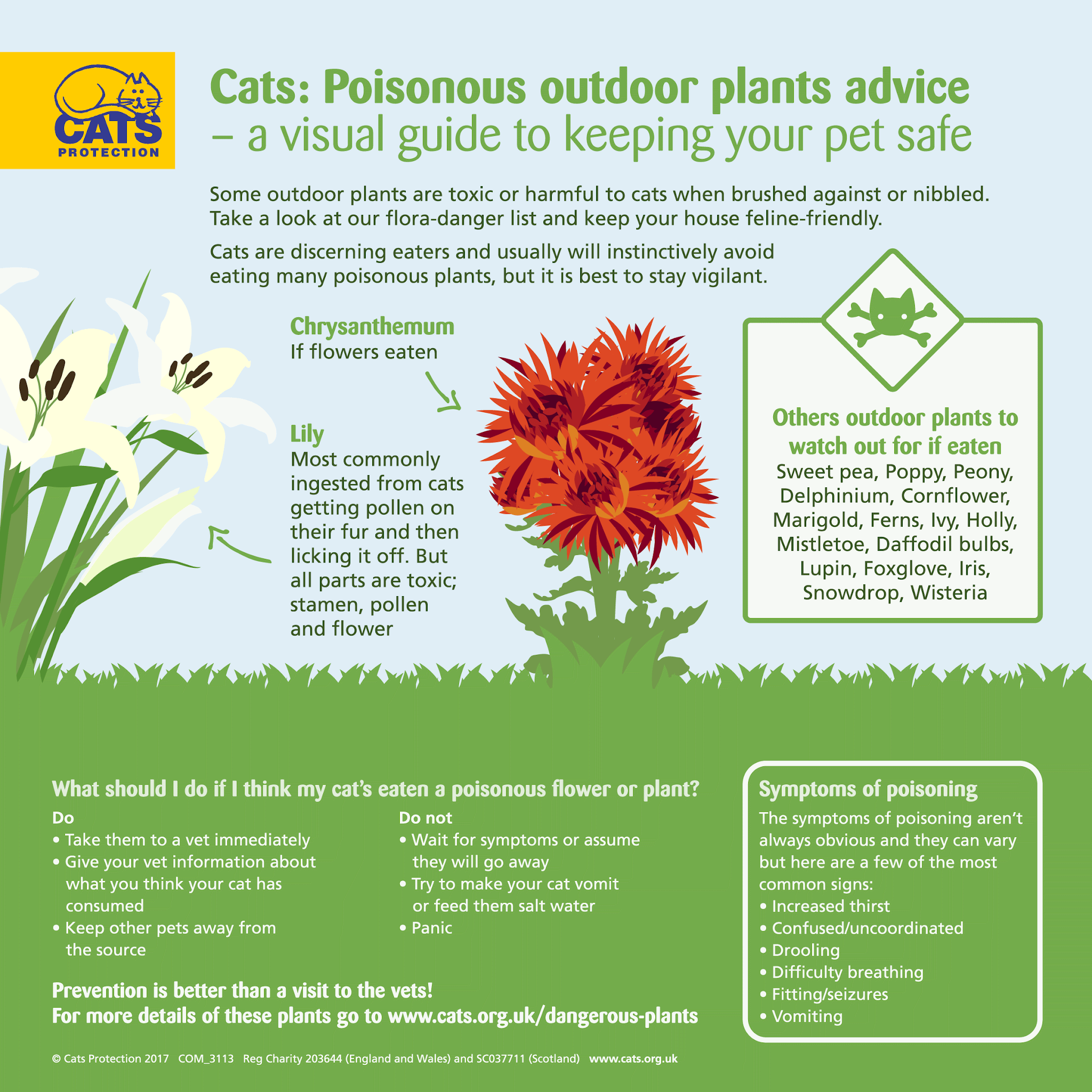 Cats Protection - Plant Advice