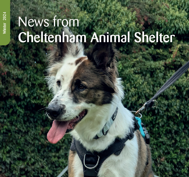 Winter 2024 Newsletter cover