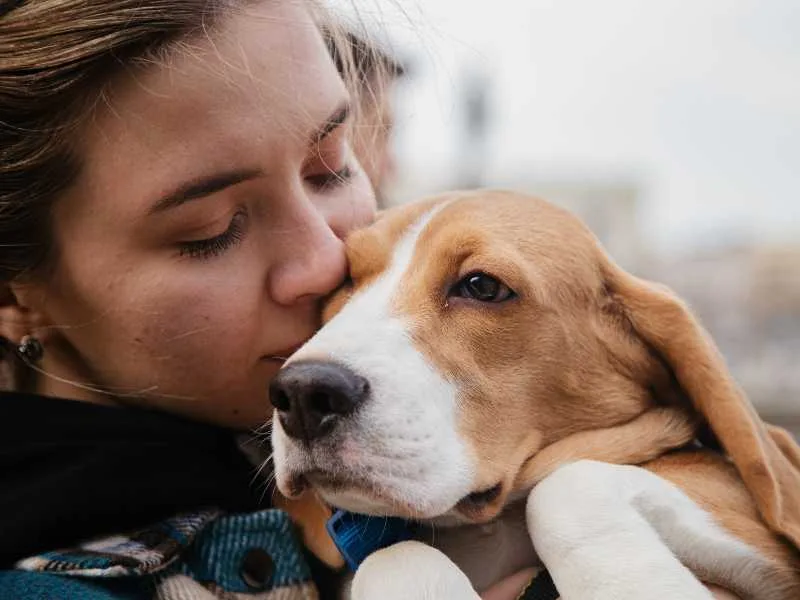Caring for your pet 4x3
